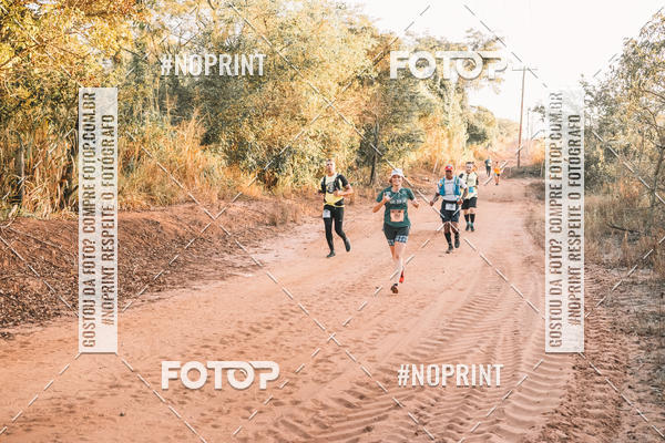 Buy your photos of the eventUltramaratona Trail Run CS 2019 on Fotop