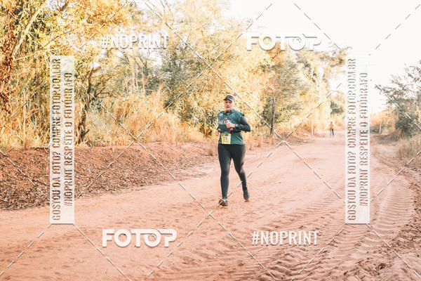 Buy your photos of the eventUltramaratona Trail Run CS 2019 on Fotop