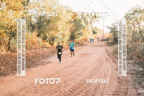 Buy your photos of the eventUltramaratona Trail Run CS 2019 on Fotop