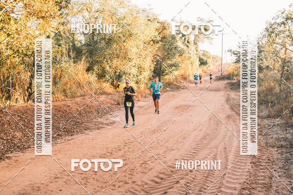 Buy your photos of the eventUltramaratona Trail Run CS 2019 on Fotop