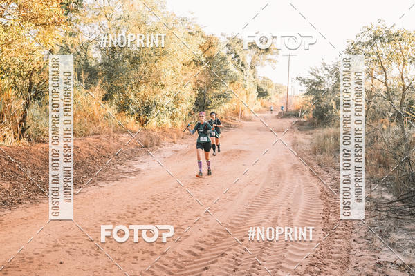 Buy your photos of the eventUltramaratona Trail Run CS 2019 on Fotop