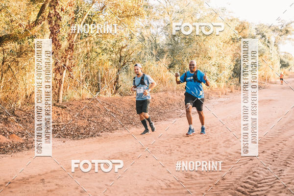 Buy your photos of the eventUltramaratona Trail Run CS 2019 on Fotop