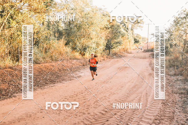 Buy your photos of the eventUltramaratona Trail Run CS 2019 on Fotop
