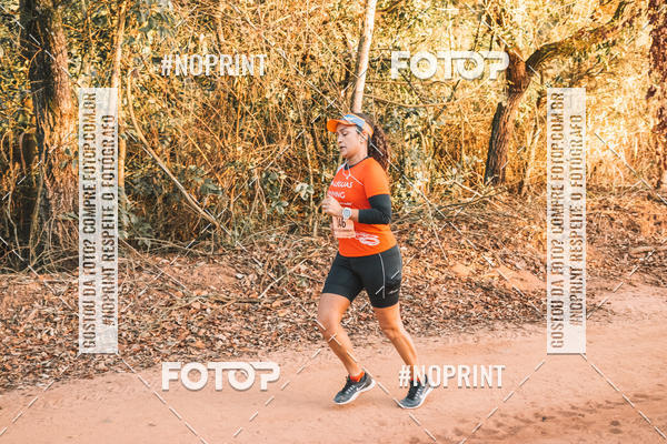 Buy your photos of the eventUltramaratona Trail Run CS 2019 on Fotop