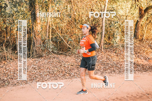 Buy your photos of the eventUltramaratona Trail Run CS 2019 on Fotop