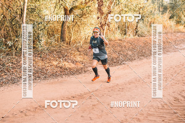 Buy your photos of the eventUltramaratona Trail Run CS 2019 on Fotop
