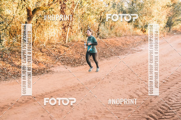 Buy your photos of the eventUltramaratona Trail Run CS 2019 on Fotop