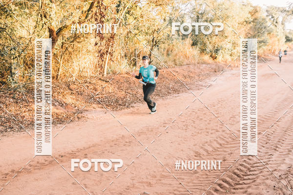 Buy your photos of the eventUltramaratona Trail Run CS 2019 on Fotop