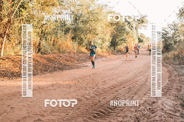 Buy your photos of the eventUltramaratona Trail Run CS 2019 on Fotop