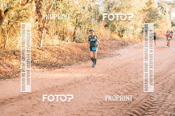 Buy your photos of the eventUltramaratona Trail Run CS 2019 on Fotop
