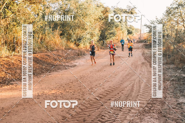 Buy your photos of the eventUltramaratona Trail Run CS 2019 on Fotop