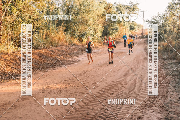 Buy your photos of the eventUltramaratona Trail Run CS 2019 on Fotop