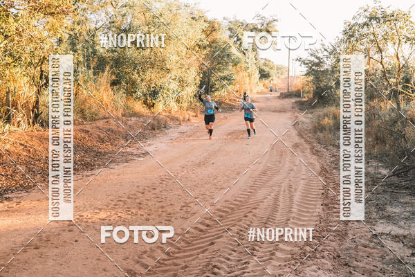 Buy your photos of the eventUltramaratona Trail Run CS 2019 on Fotop