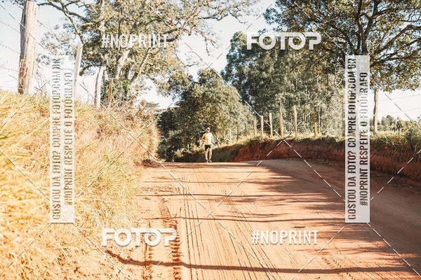 Buy your photos of the eventUltramaratona Trail Run CS 2019 on Fotop