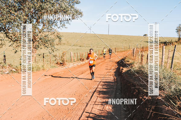 Buy your photos of the eventUltramaratona Trail Run CS 2019 on Fotop