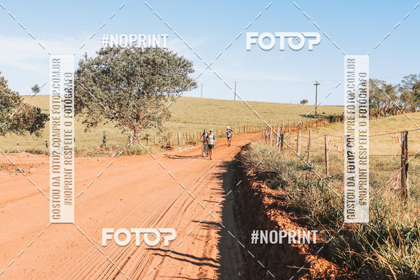 Buy your photos of the eventUltramaratona Trail Run CS 2019 on Fotop
