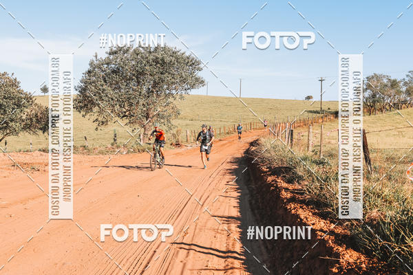 Buy your photos of the eventUltramaratona Trail Run CS 2019 on Fotop
