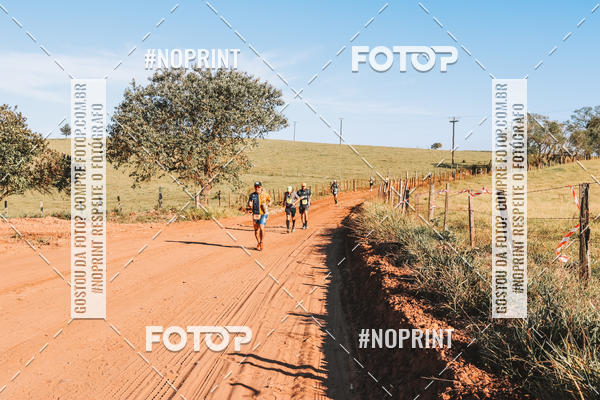 Buy your photos of the eventUltramaratona Trail Run CS 2019 on Fotop