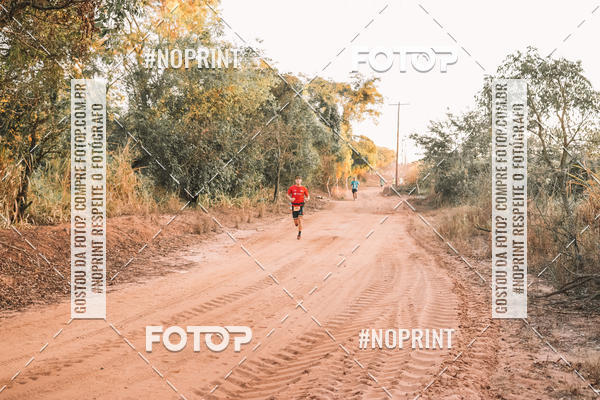 Buy your photos of the eventUltramaratona Trail Run CS 2019 on Fotop