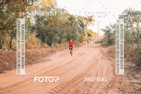 Buy your photos of the eventUltramaratona Trail Run CS 2019 on Fotop