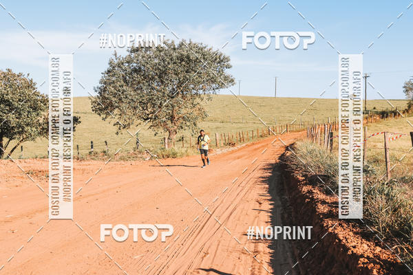 Buy your photos of the eventUltramaratona Trail Run CS 2019 on Fotop