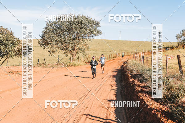 Buy your photos of the eventUltramaratona Trail Run CS 2019 on Fotop