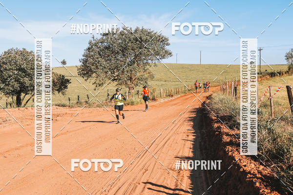 Buy your photos of the eventUltramaratona Trail Run CS 2019 on Fotop