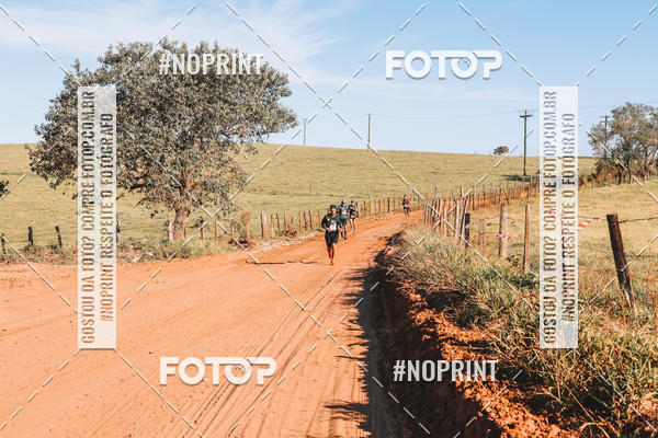 Buy your photos of the eventUltramaratona Trail Run CS 2019 on Fotop