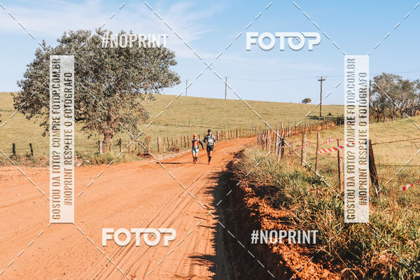 Buy your photos of the eventUltramaratona Trail Run CS 2019 on Fotop