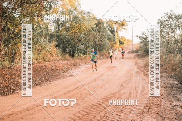 Buy your photos of the eventUltramaratona Trail Run CS 2019 on Fotop