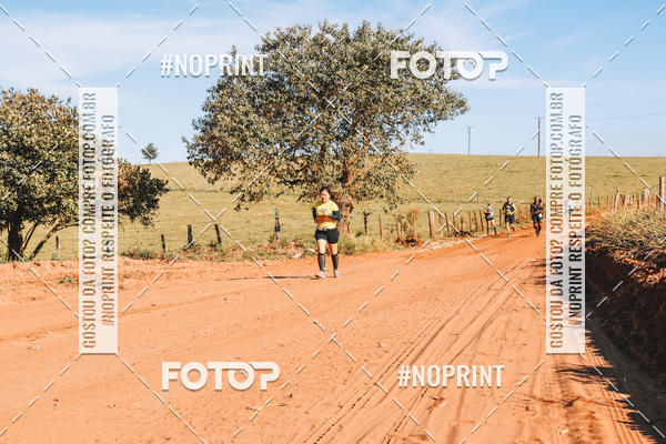Buy your photos of the eventUltramaratona Trail Run CS 2019 on Fotop