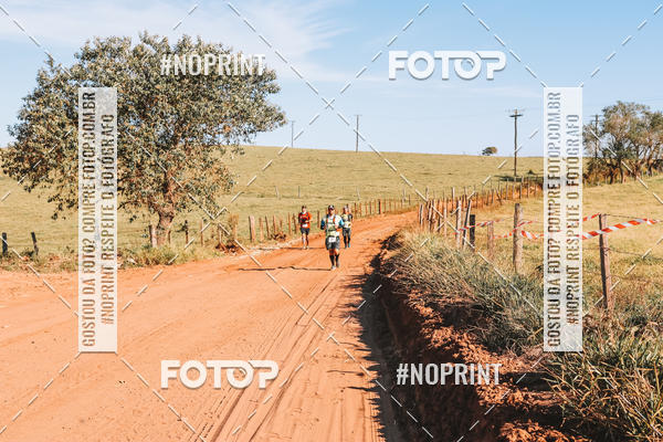 Buy your photos of the eventUltramaratona Trail Run CS 2019 on Fotop