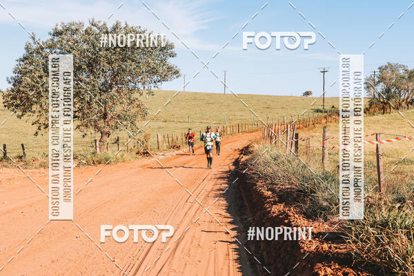 Buy your photos of the eventUltramaratona Trail Run CS 2019 on Fotop