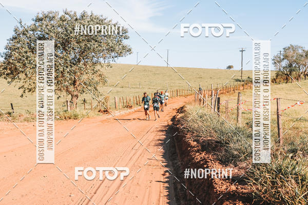 Buy your photos of the eventUltramaratona Trail Run CS 2019 on Fotop
