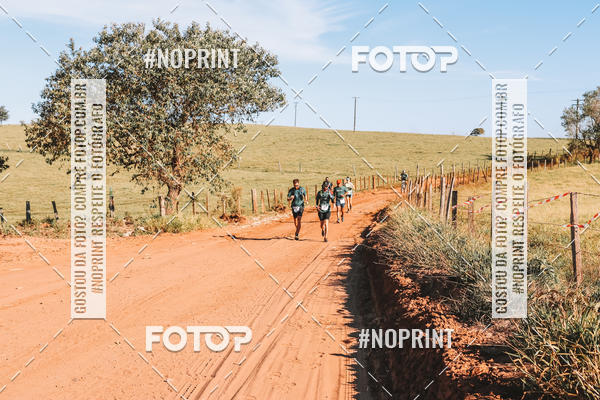 Buy your photos of the eventUltramaratona Trail Run CS 2019 on Fotop