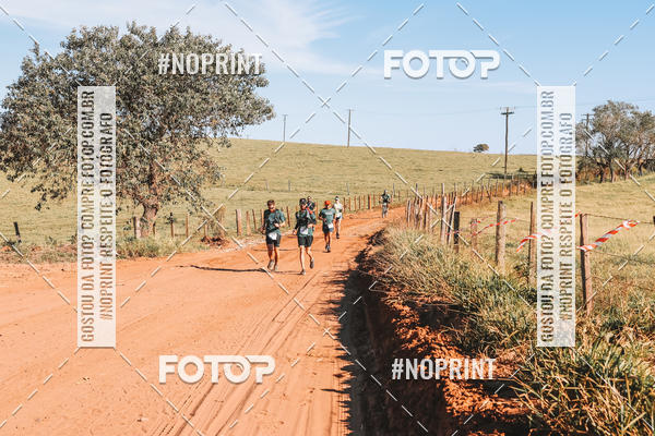 Buy your photos of the eventUltramaratona Trail Run CS 2019 on Fotop