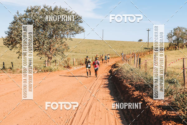 Buy your photos of the eventUltramaratona Trail Run CS 2019 on Fotop