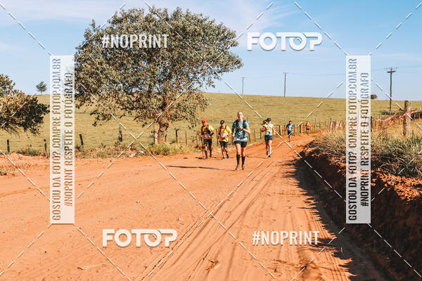 Buy your photos of the eventUltramaratona Trail Run CS 2019 on Fotop