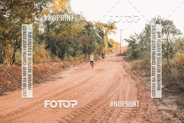 Buy your photos of the eventUltramaratona Trail Run CS 2019 on Fotop