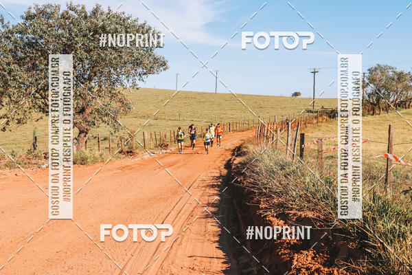 Buy your photos of the eventUltramaratona Trail Run CS 2019 on Fotop