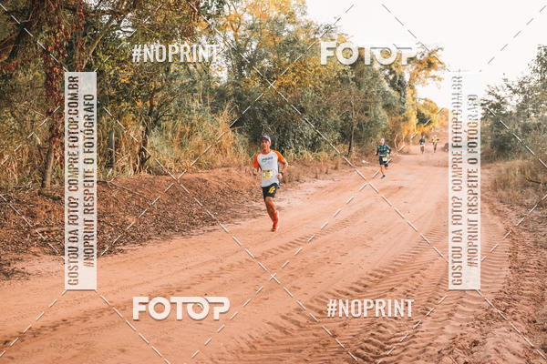Buy your photos of the eventUltramaratona Trail Run CS 2019 on Fotop