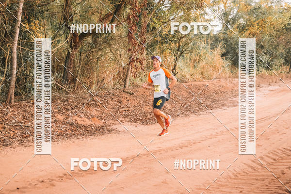 Buy your photos of the eventUltramaratona Trail Run CS 2019 on Fotop