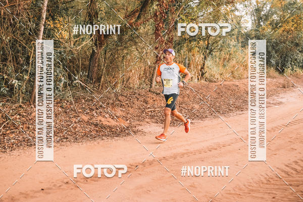 Buy your photos of the eventUltramaratona Trail Run CS 2019 on Fotop