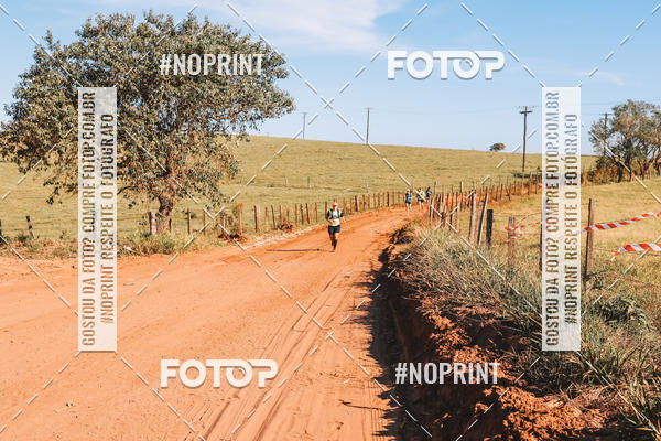 Buy your photos of the eventUltramaratona Trail Run CS 2019 on Fotop
