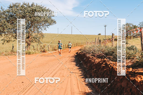 Buy your photos of the eventUltramaratona Trail Run CS 2019 on Fotop