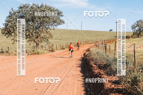 Buy your photos of the eventUltramaratona Trail Run CS 2019 on Fotop