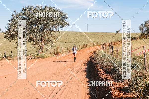 Buy your photos of the eventUltramaratona Trail Run CS 2019 on Fotop