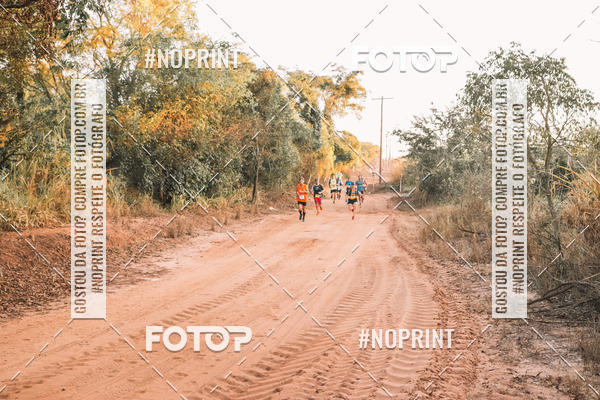 Buy your photos of the eventUltramaratona Trail Run CS 2019 on Fotop