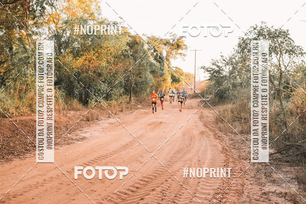 Buy your photos of the eventUltramaratona Trail Run CS 2019 on Fotop