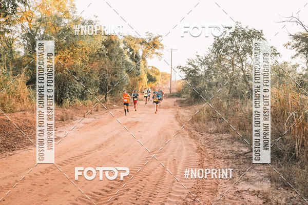 Buy your photos of the eventUltramaratona Trail Run CS 2019 on Fotop